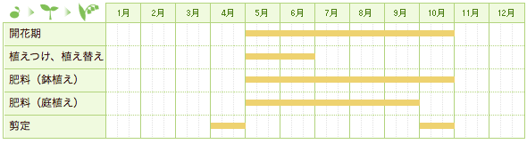 ハイビスカス栽培カレンダー